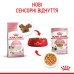 Вологий корм для кошенят ROYAL CANIN KITTEN IN JELLY 0.085 кг