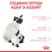 Корм для кошенят віком від 1 до 4 місяців і кішок під час вагітності ROYAL CANIN MOTHER & BABYCAT 10.0 кг