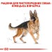 Корм для дорослих собак породи Німецька Вівчарка ROYAL CANIN GERMAN SHEPHERD ADULT 11.0 кг