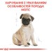 Корм для цуценят породи Мопс ROYAL CANIN PUG PUPPY 1.5 кг