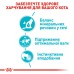 Вологий корм для дорослих котів ROYAL CANIN URINARY CARE 0.085 кг