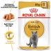 Вологий корм для дорослих котів ROYAL CANIN BRITISH SHORTHAIR ADULT 0.085 кг