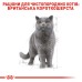 Вологий корм для дорослих котів ROYAL CANIN BRITISH SHORTHAIR ADULT 0.085 кг