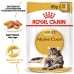 Вологий корм для дорослих котів ROYAL CANIN MAINECOON ADULT 0.085 кг