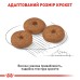 Корм для зрілих (старіючих) собак похилого віку дрібних порід ROYAL CANIN MINI AGEING 12+(від 12 років) 0.8 кг