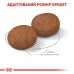 Корм для дорослих собак середніх порід віком ROYAL CANIN MEDIUM ADULT 7+(від 7 років) 4.0 кг