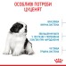 Корм для цуценят  гігантських порід ROYAL CANIN GIANT PUPPY 15.0 кг
