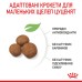 Корм для цуценят  гігантських порід ROYAL CANIN GIANT PUPPY 15.0 кг