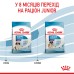 Корм для цуценят  гігантських порід ROYAL CANIN GIANT PUPPY 15.0 кг