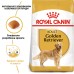 Корм для дорослих собак породи Золотистий ретривер ROYAL CANIN GOLDEN RETRIEVER ADULT 12.0 кг
