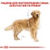 Корм для дорослих собак породи Золотистий ретривер ROYAL CANIN GOLDEN RETRIEVER ADULT 12.0 кг