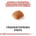 Корм для дорослих собак породи Золотистий ретривер ROYAL CANIN GOLDEN RETRIEVER ADULT 12.0 кг