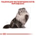 Корм дл дорослих котів породи Персидська ROYAL CANIN PERSIAN ADULT 2.0 кг