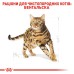 Корм для дорослих котів породи Бенгальська ROYAL CANIN BENGAL ADULT 2.0 кг