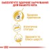 Корм для дорослих котів породи Бенгальська ROYAL CANIN BENGAL ADULT 2.0 кг