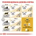 Корм для дорослих котів породи Бенгальська ROYAL CANIN BENGAL ADULT 2.0 кг