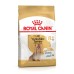 Корм для зрілих собак породи Йоркшир-тер'єр ROYAL CANIN YORKSHIRE TERRIER AGEING 8+(віком від 8 років) 1.5 кг