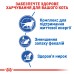 Корм для домашніх котів ROYAL CANIN INDOOR7+(від 7 років)1.5 кг
