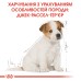 Корм для цуценят породи Джек-Рассел-тер'єр ROYAL CANIN JACK RUSSEL PUPPY 1.5 кг