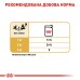 Вологий корм для дорослих собак ROYAL CANIN CHIHUAHUA ADULT 0.085 кг