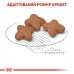 Корм для дорослих собак дрібних порід ROYAL CANIN MINI ADULT 8+(віком від 8 років) 0.8 кг
