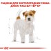 Сухий корм для дорослих собак породи Джек-Рассел-тер'єр ROYAL CANIN JACK RUSSEL ADULT 1.5 кг