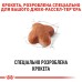 Сухий корм для дорослих собак породи Джек-Рассел-тер'єр ROYAL CANIN JACK RUSSEL ADULT 1.5 кг