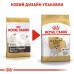 Сухий корм для дорослих собак породи Джек-Рассел-тер'єр ROYAL CANIN JACK RUSSEL ADULT 1.5 кг