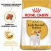 Корм для дорослих собак ROYAL CANIN JACK RUSSEL ADULT 7.5 кг