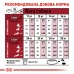 Корм для дорослих собак середніх порід ROYAL CANIN MEDIUM ADULT 15 кг