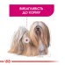 Корм для собак ROYAL CANIN MINI EXIGENT 3.0 кг – сухий корм для вибагливих собак дрібних порід