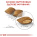 Корм для собак ROYAL CANIN MINI EXIGENT 3.0 кг – сухий корм для вибагливих собак дрібних порід