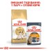 Корм для дорослих котів породи Сіамська ROYAL CANIN SIAMESE ADULT 0.4 кг