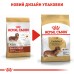 Корм для дорослих собак породи Такса ROYAL CANIN DACHSHUND ADULT 1.5 кг