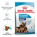 Корм для новонароджених цуценят великих порід собак ROYAL CANIN MAXI STARTER 4.0 кг