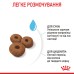 Корм для новонароджених цуценят великих порід собак ROYAL CANIN MAXI STARTER 4.0 кг