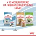 Вологий корм для цуценят ROYAL CANIN XSMALL PUPPY  0.085 кг