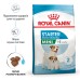 Корм для новонароджених собак ROYAL CANIN MINI STARTER 8 кг