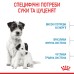Корм для новонароджених собак ROYAL CANIN MINI STARTER 8 кг