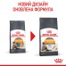 Корм для котів ROYAL CANIN HAIR&SKIN CARE 0.4 кг, для підтримки здоров’я шкіри та блиску шерсті