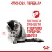 Корм для котів ROYAL CANIN HAIRBALL CARE 0.4 кг, рекомендований для виведення грудок шерсті