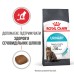 Корм для котів ROYAL CANIN URINARY CARE 0.4 кг, рекомендований для підтримання здоров’я сечовивідних шляхів
