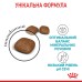 Корм для котів ROYAL CANIN URINARY CARE 2.0 кг