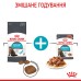 Корм для котів ROYAL CANIN URINARY CARE 2.0 кг