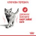 Корм для котів ROYAL CANIN LIGHT WEIGHT CARE 1.5 кг, рекомендований для обмеження набору зайвої ваги