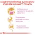 Корм для кошенят ROYAL CANIN MAINECOON KITTEN 2кг + Вологий корм INSTINCTIVE 12шт + інтерактивна годівниця