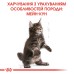 Корм для кошенят ROYAL CANIN MAINECOON KITTEN 2кг + Вологий корм INSTINCTIVE 12шт + інтерактивна годівниця