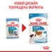 Вологий корм для цуценят ROYAL CANIN MINI PUPPY 0.085 кг