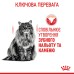 Корм для котів ROYAL CANIN DENTAL CARE 8 кг, для зменшення утворення зубного нальоту та каменю