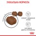 Корм для котів ROYAL CANIN DENTAL CARE 8 кг, для зменшення утворення зубного нальоту та каменю